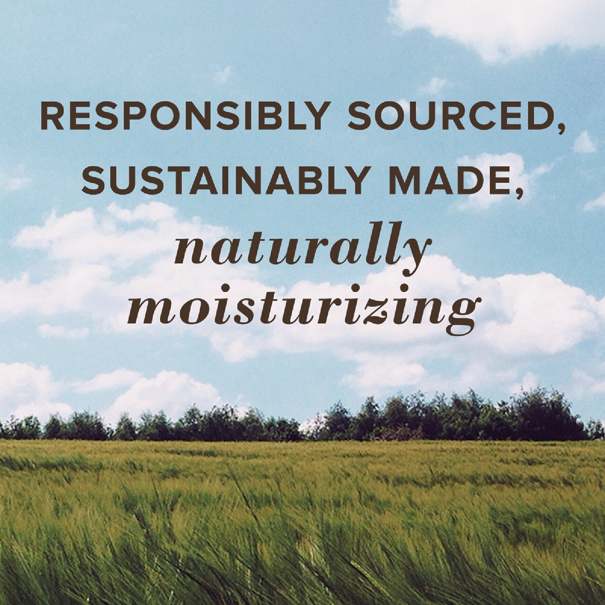 Burt's Bees All Weather SPF 15 Lip Balm (2-Pack) Image 4