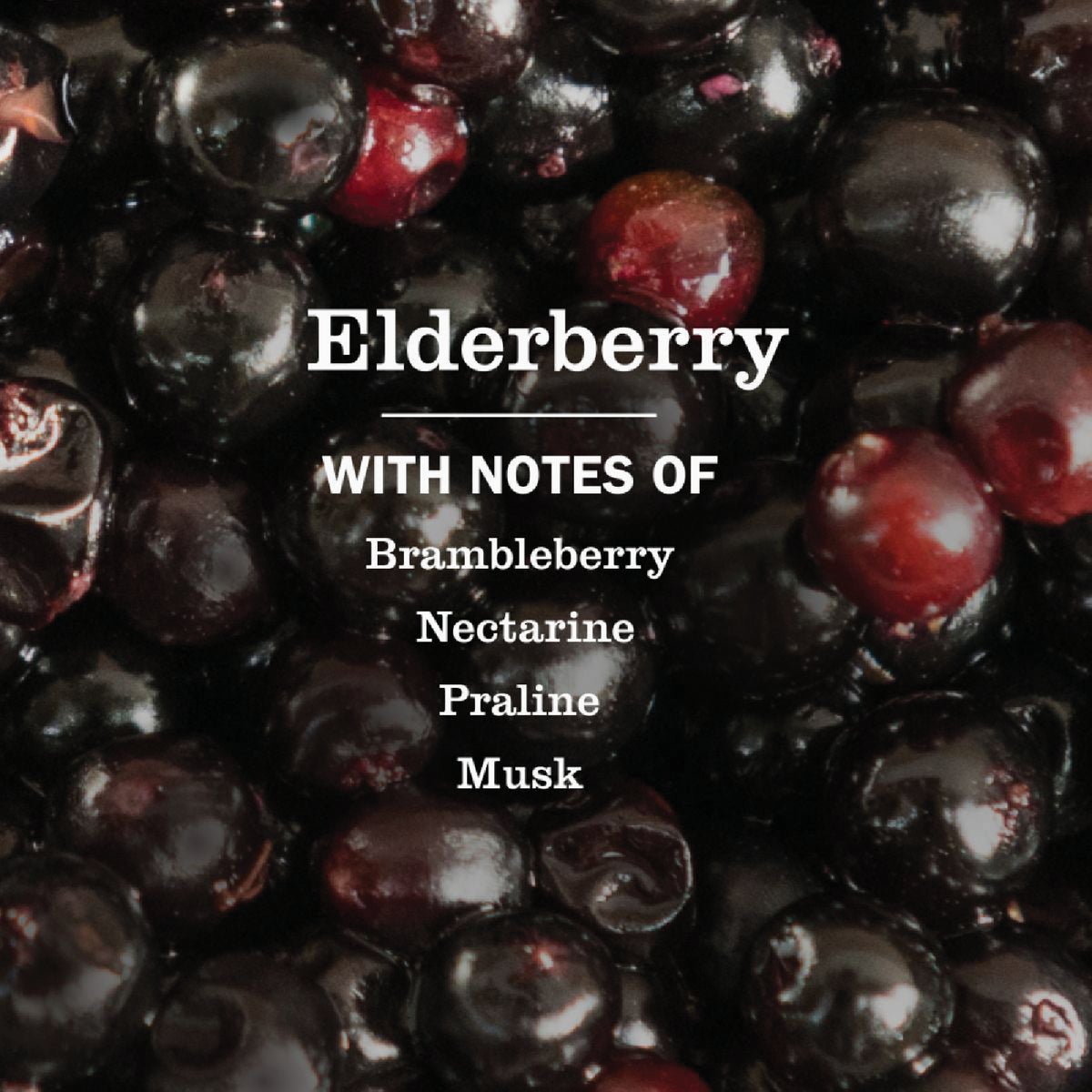 Mrs. Meyer's Clean Day 16 Oz. Elderberry Multi-Surface Everyday Cleaner Image 4