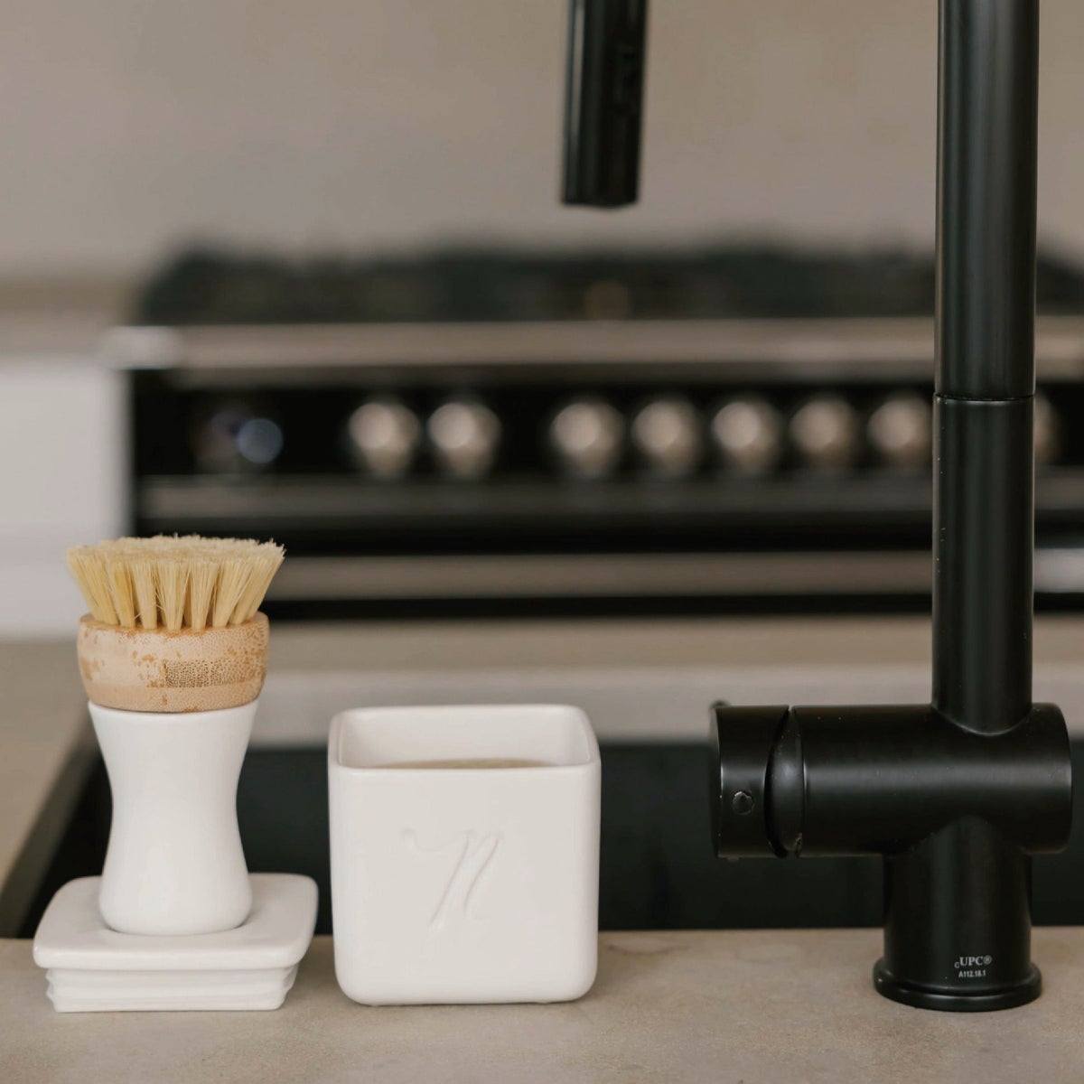 Nellie's Forever Dishwashing Brush Image 2