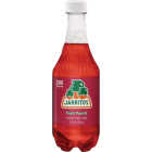 Jarritos 17.7 Oz. Fruit Punch Soda Image 1