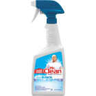 26OZ MOLD/MILDEW CLEANER Image 2