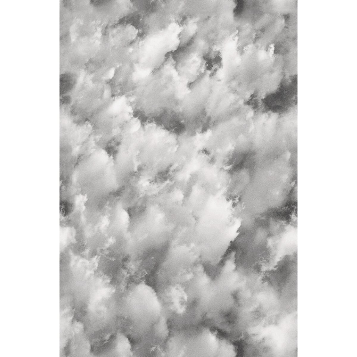 Artscape 24 In. x 36 Clouds Window Film