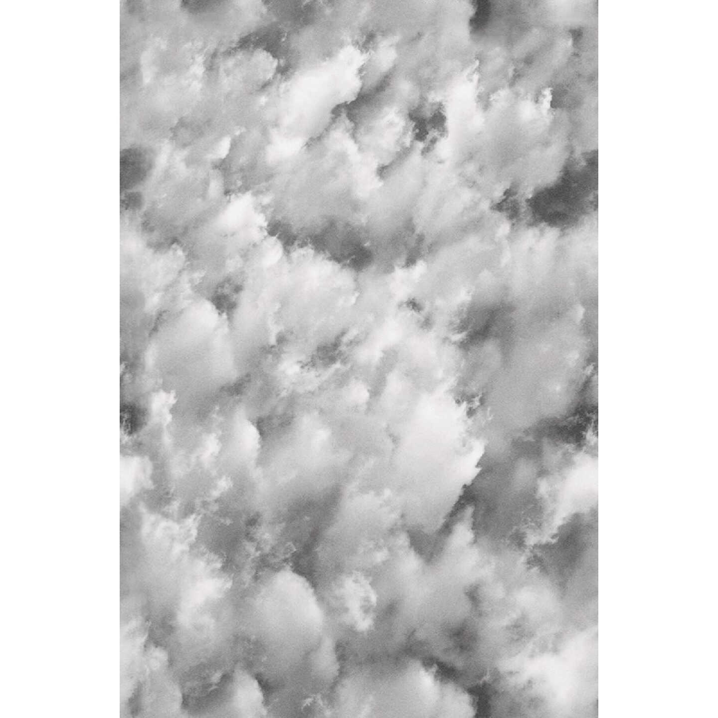 Artscape 24 In. x 36 Clouds Window Film Image 1