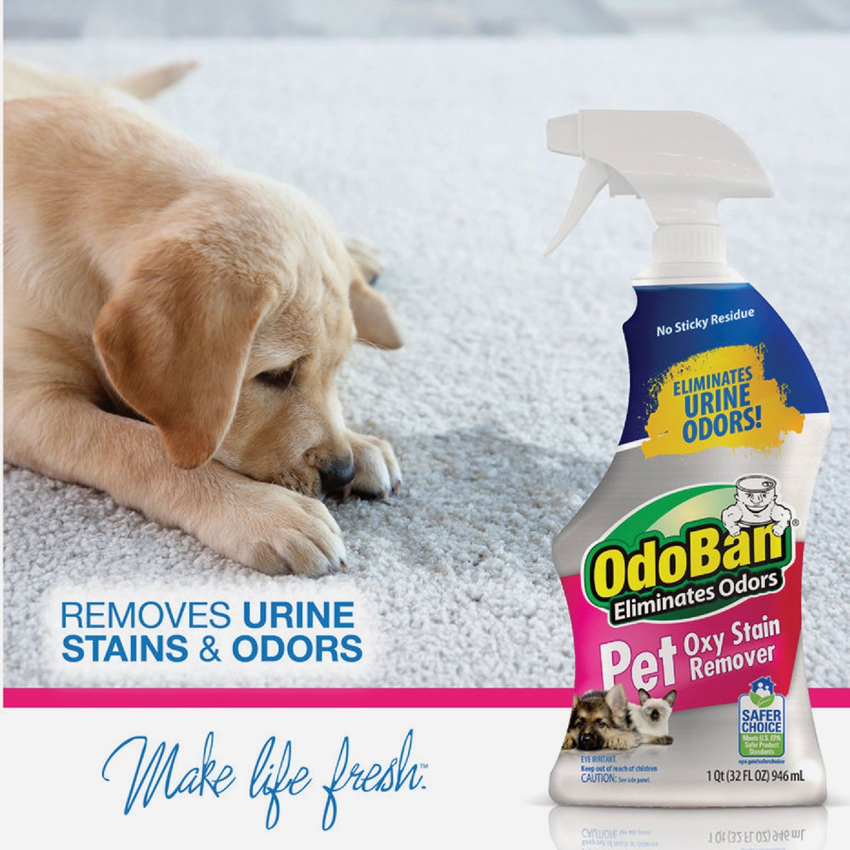OdoBan 32 Oz. Pet Oxy Stain Remover Carpet Cleaner Image 2