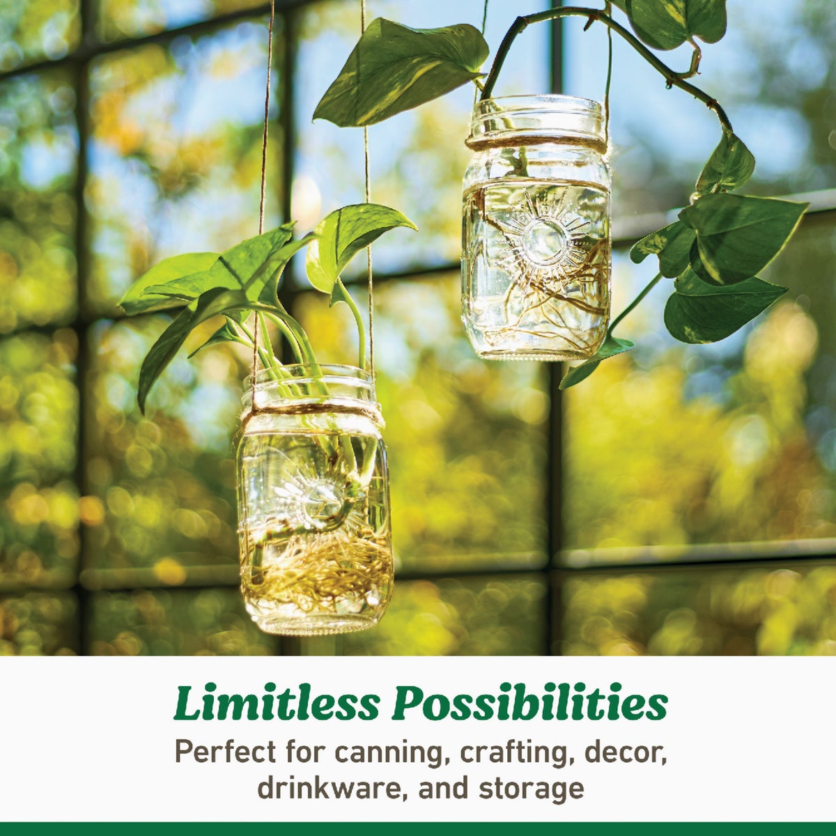 Ball 16 Oz. Limited Edition Sunshine Pint Mason Jar (4-Pack) Image 4