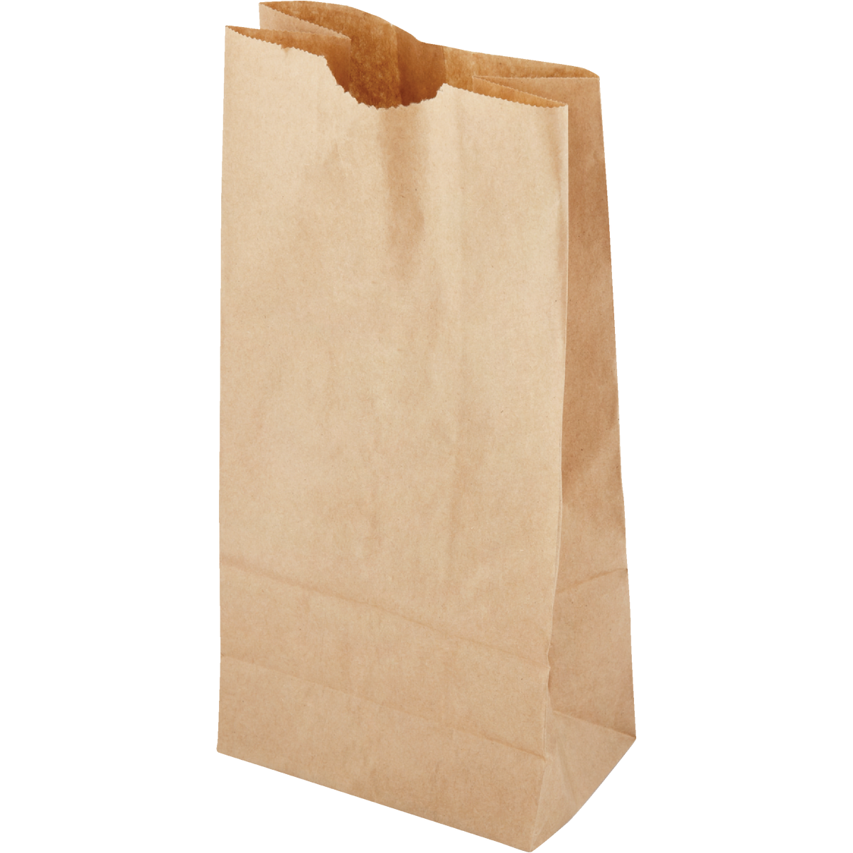 AJM Paper Lunch Bag (50-Count) Image 2