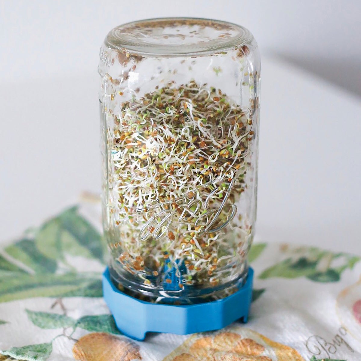 Masontops Wide Mouth Bean Screen Lid (2-Count) Image 3