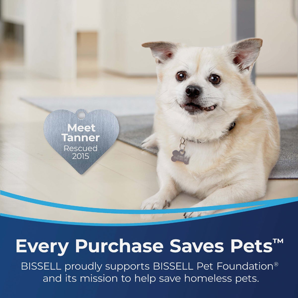 Bissell Pet Stain Eraser Plus Carpet Cleaner Image 6