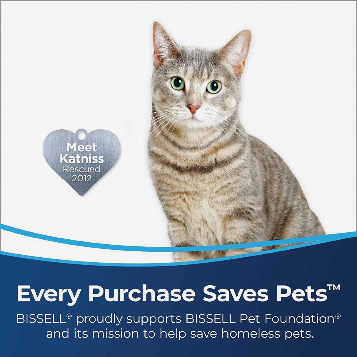 Bissell AeroSlim Hand Vacuum Image 8