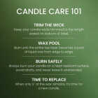 Yankee Candle 14-1/4 Oz. Balsam & Cedar Medium Pillar Candle Image 5