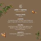 Method 18 Oz. Cedar + Cypress Men's Body Wash Image 2