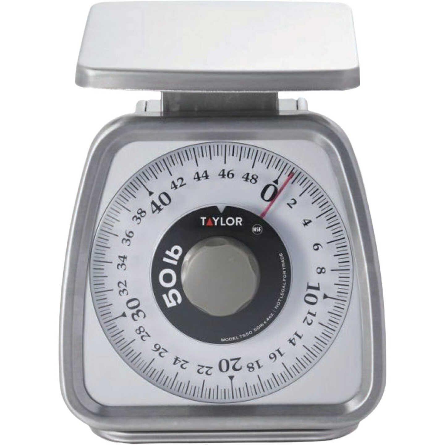 Taylor 50 Lb. Capacity Kitchen Food Scale Image 1