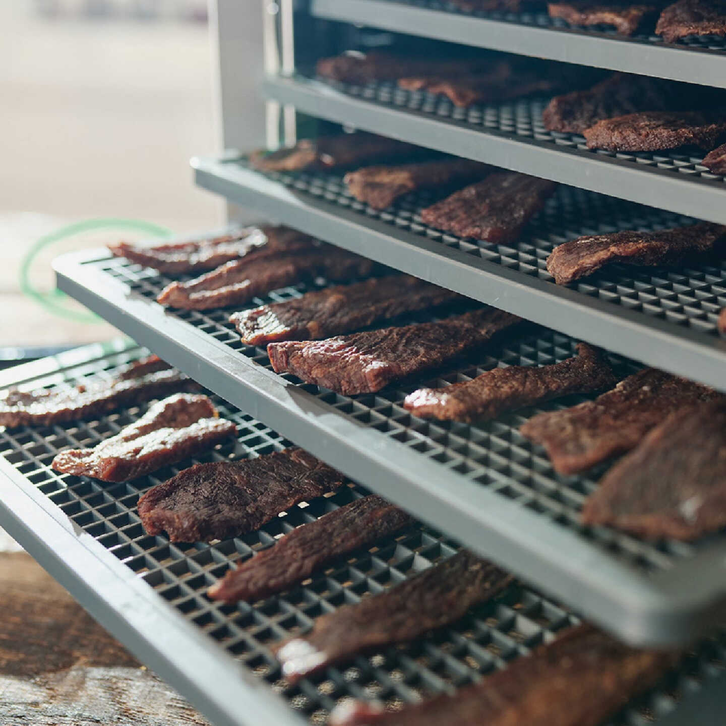 Mighty Bite 6-Tray Dehydrator Image 3