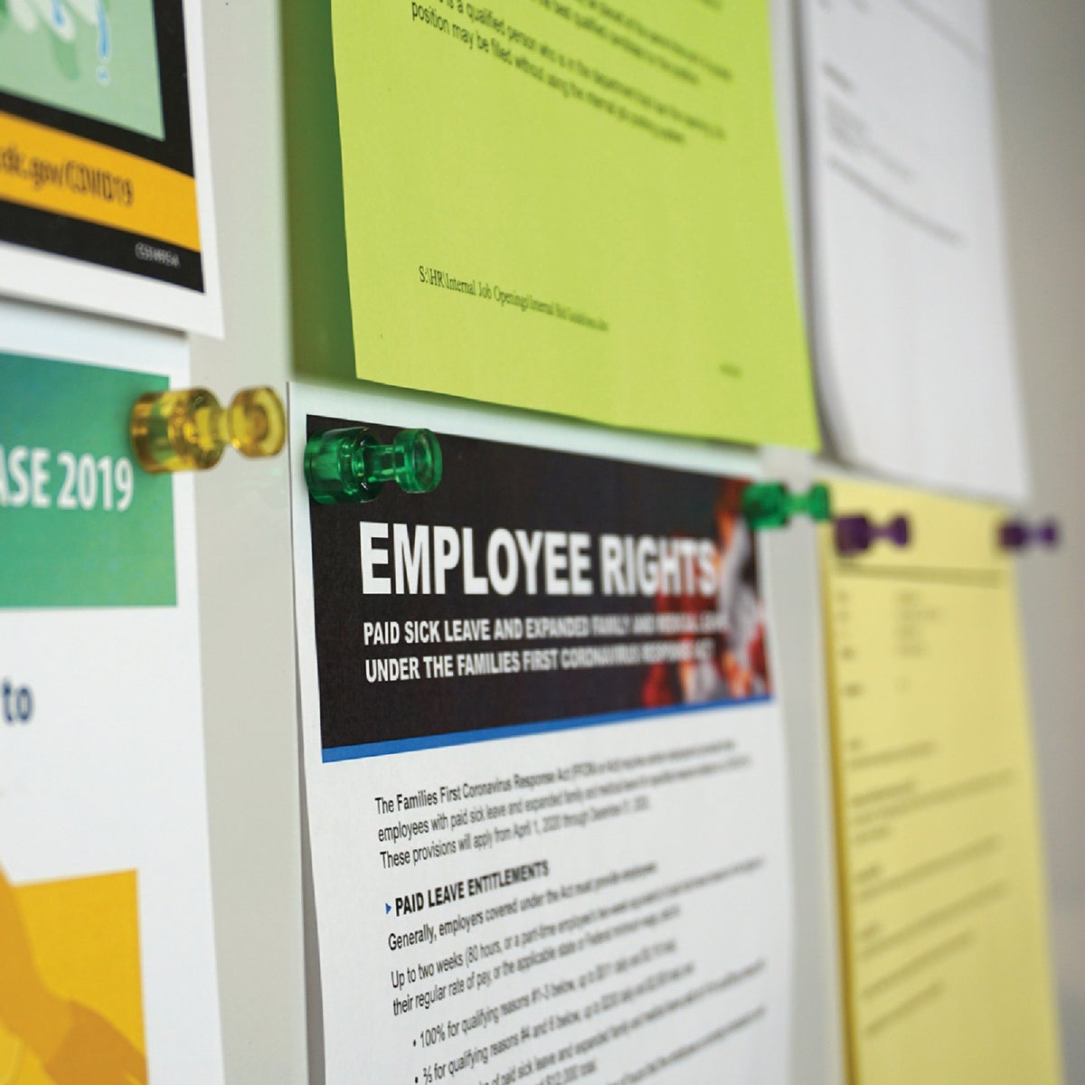 MagnetSource Neodymium Magnetic Push Pins (10-Pack) Image 2