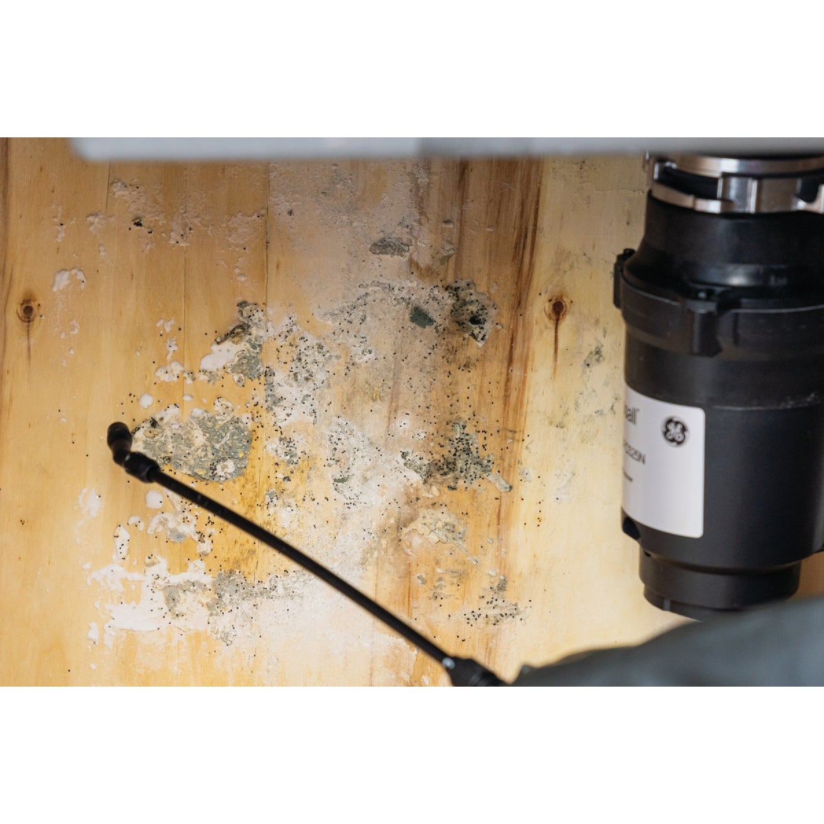 Mold Armor Rapid Clean Remediation 1 Gal. Mold Remover Image 5