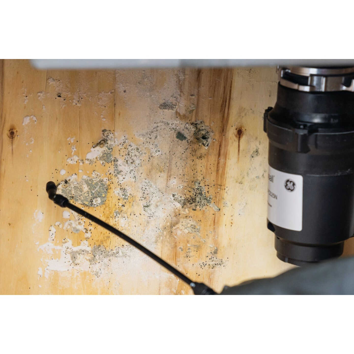 Mold Armor Rapid Clean Remediation 1 Gal. Mold Remover Image 5