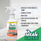 Mean Green 32 Oz. Super Strength Cleaner & Degreaser Image 2