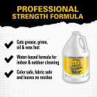Krud Kutter Professional 1 Gal. Tough Task Remover All-Purpose Cleaner Image 2