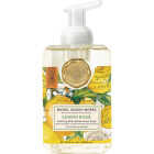 Michel Design Works 17.8 Oz. Lemon Basil Foaming Hand Soap Image 1