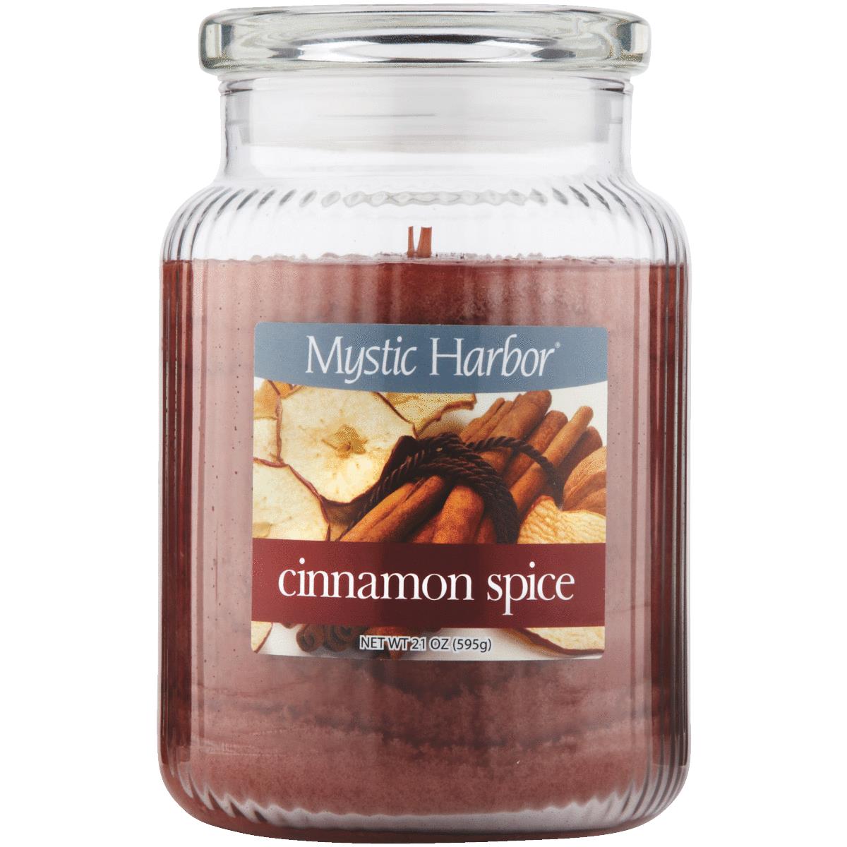 LRG CINNAMN SPICE CANDLE Image 1