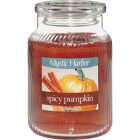 LRG SPICY PUMPKIN CANDLE Image 1