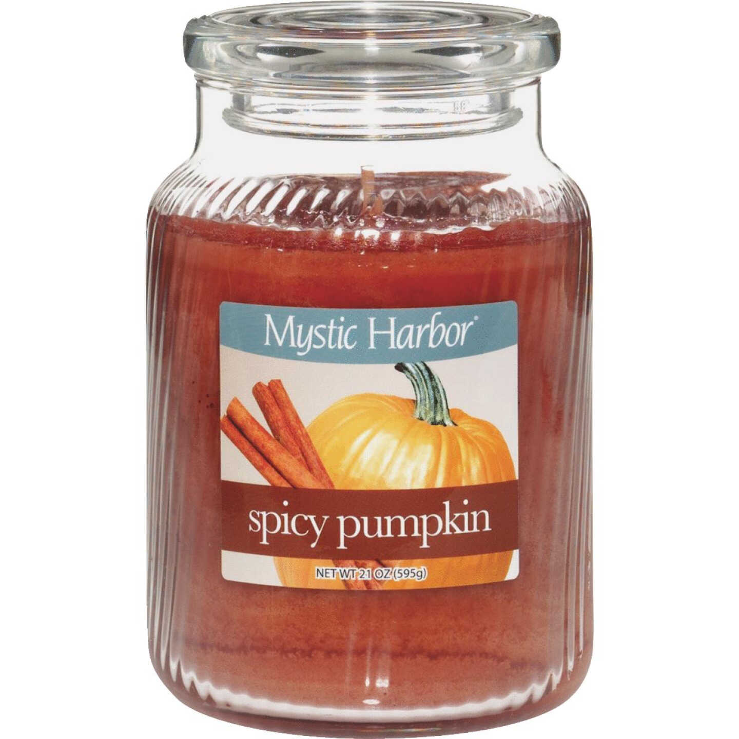 LRG SPICY PUMPKIN CANDLE Image 1