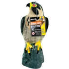 Bird X 17 In. H. x 8 In. Dia. Falcon Pest Deterrent Decoy Image 1