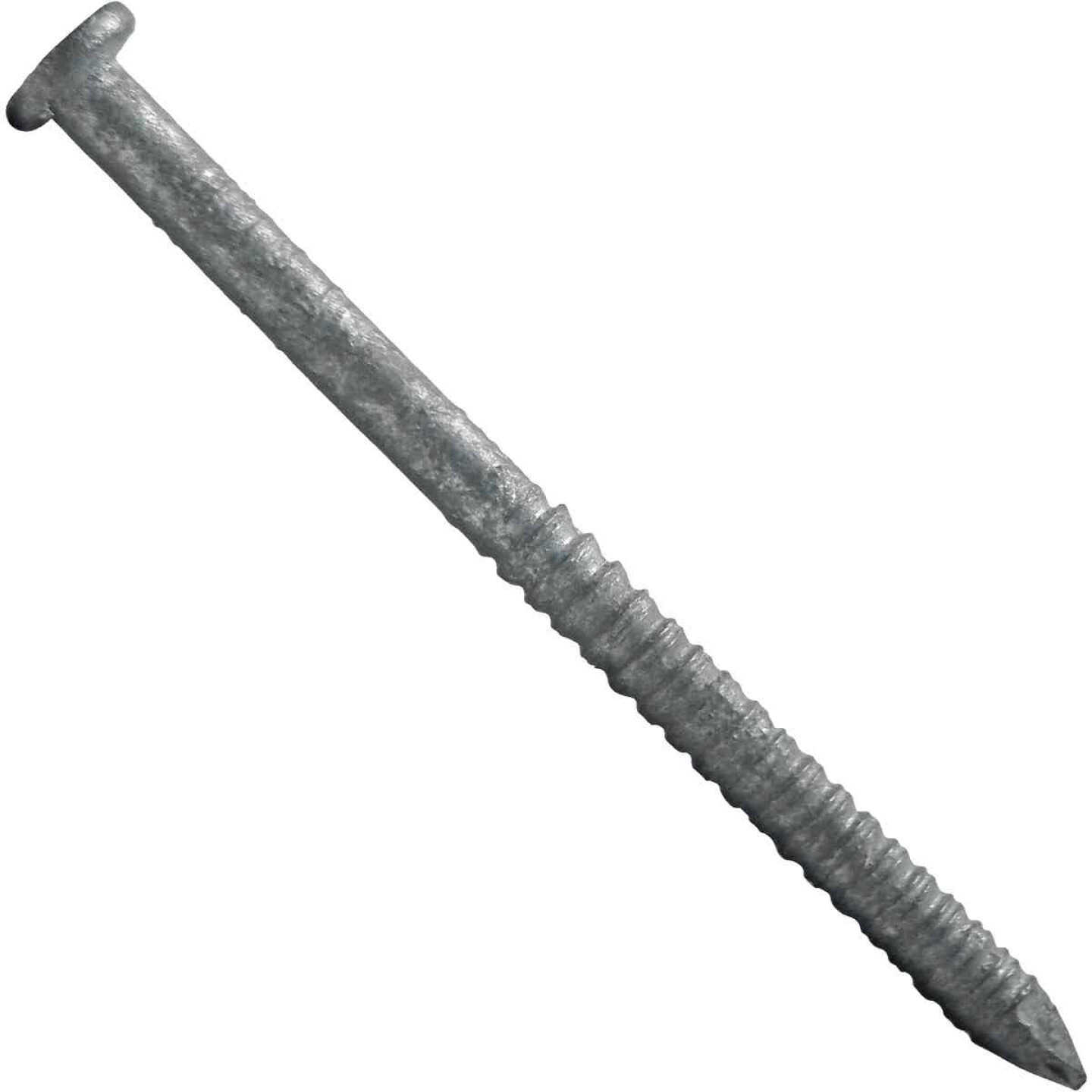 Maze 10d x 3 In. 10 ga Hot Dipped Galvanized Ring Shank Deck Nails (375 Ct., 5 Lb.) Image 1