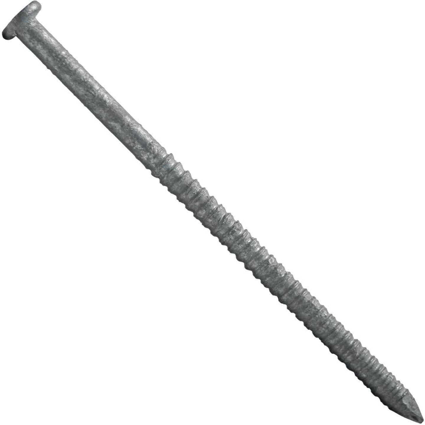 Maze 16d x 3-1/2 In. 9 ga Hot Dipped Galvanized Ring Shank Deck Nails (2700 Ct., 50 Lb.) Image 1