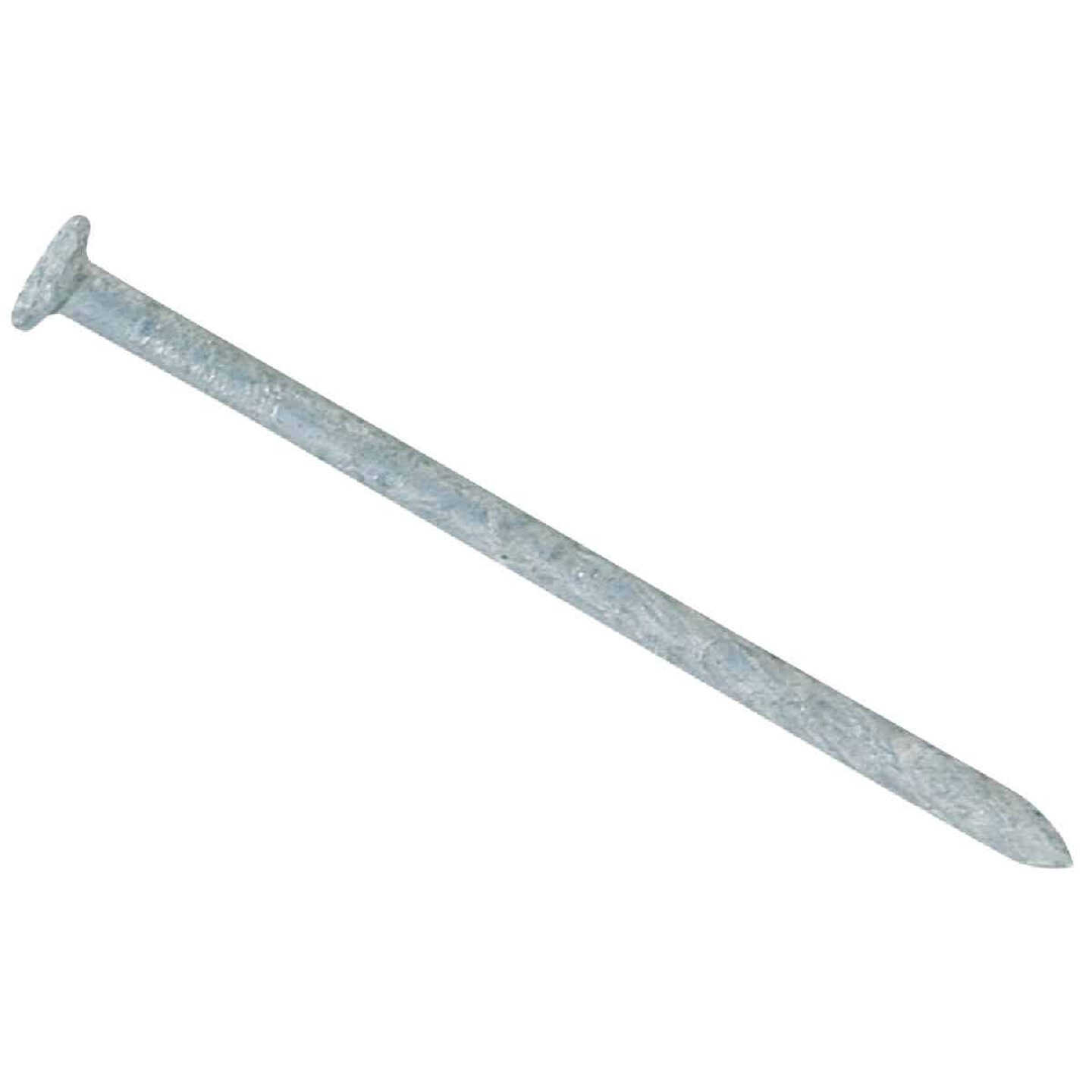 Maze 8d x 2-1/2 In. 11 ga Hot Dipped Galvanized Spiral Shank Lumber Deck Nails (555 Ct., 5 Lb.) Image 1