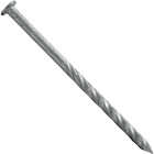 Maze 16d x 3-1/2 In. 9 ga Hot Dipped Galvanized Spiral Shank Lumber Deck Nails (270 Ct., 5 Lb.) Image 1