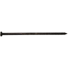 Maze 60d x 6 In. 7 ga Oil-Quenched Pole Barn Nails (1100 Ct., 50 Lb.) Image 1
