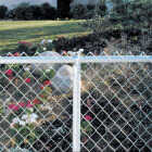 Midwest Air Tech 10 ft. 5 in. L x 1-3/8 in. I.D. 17 Ga. Steel Chain Link Fence Top Rail Image 2