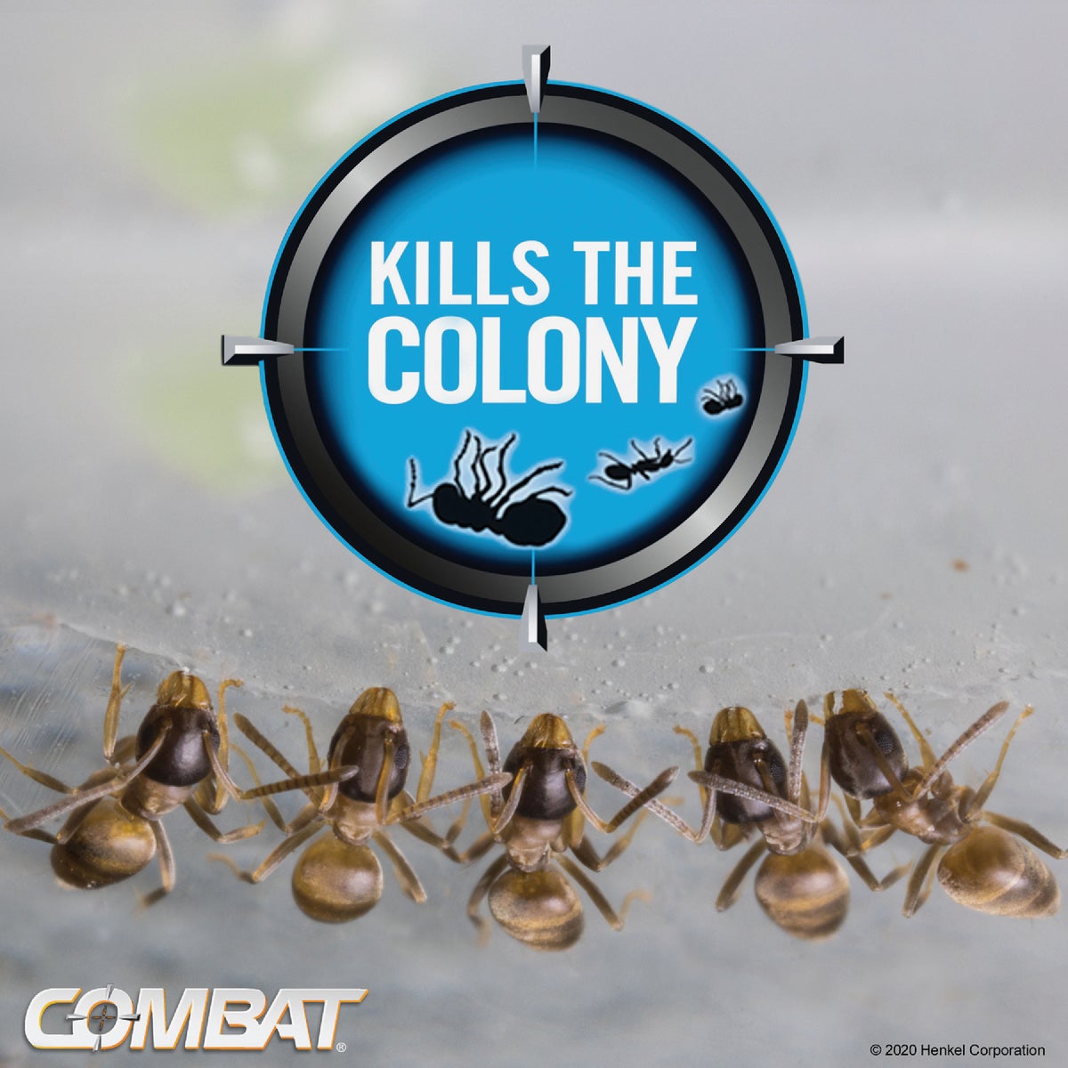 Combat Max 0.95 Oz. Tube Ant Bait Gel Image 4