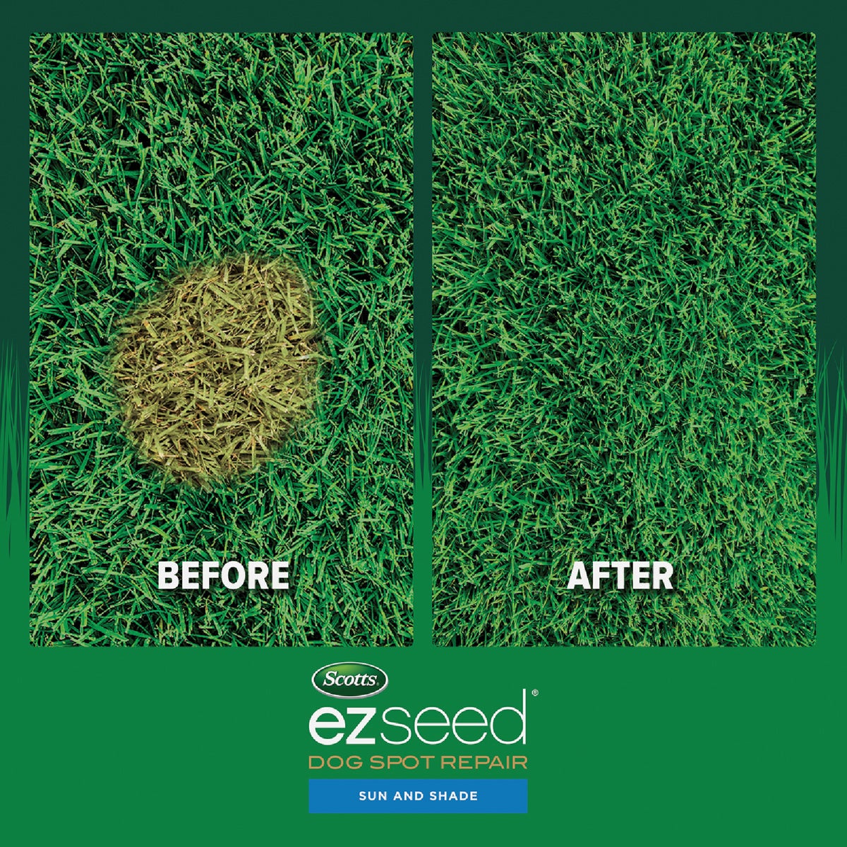Scotts EZ Seed 2 Lb. Sun & Shade Dog Spot Repair Mulch, Seed and Soil Amendment Combination Image 7