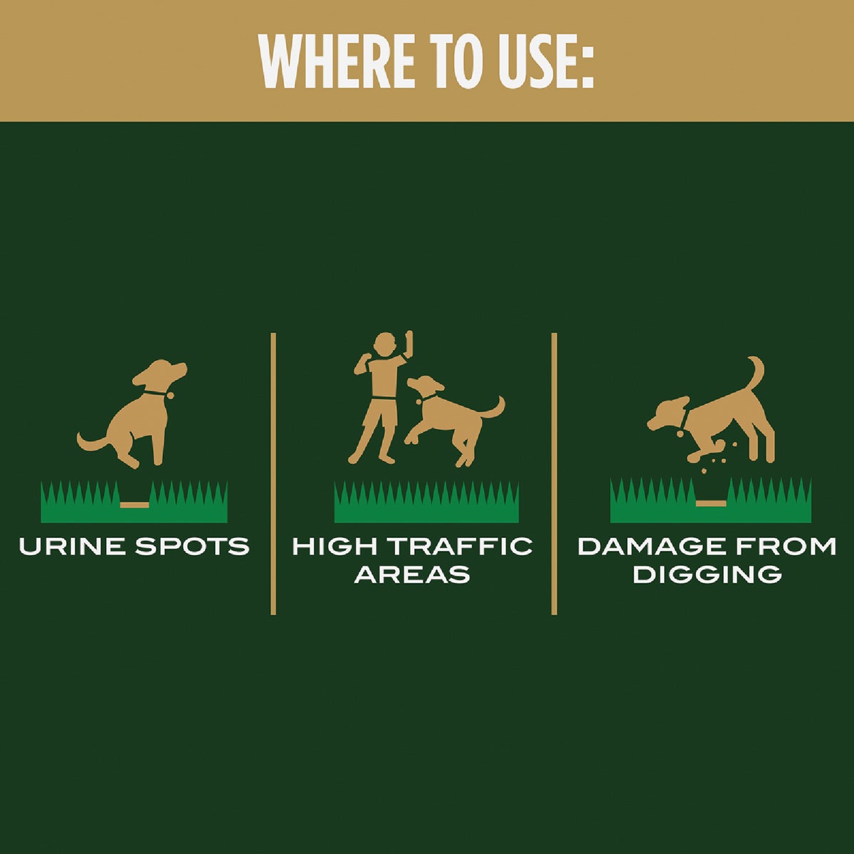 Scotts EZ Seed 2 Lb. Sun & Shade Dog Spot Repair Mulch, Seed and Soil Amendment Combination Image 5