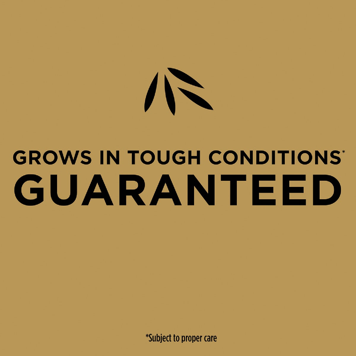 Scotts EZ Seed 3.75 Lb. 85 Sq. Ft. Patch & Repair for Bermudagrass Mulch, Seed and Fertilizer Combination Image 3