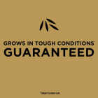 Scotts EZ Seed 3.75 Lb. 85 Sq. Ft. Patch & Repair for Bermudagrass Mulch, Seed and Fertilizer Combination Image 3