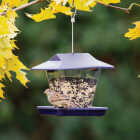 More Birds Plastic 1.7 Lb. Capacity Ranch Hopper Bird Feeder Image 2