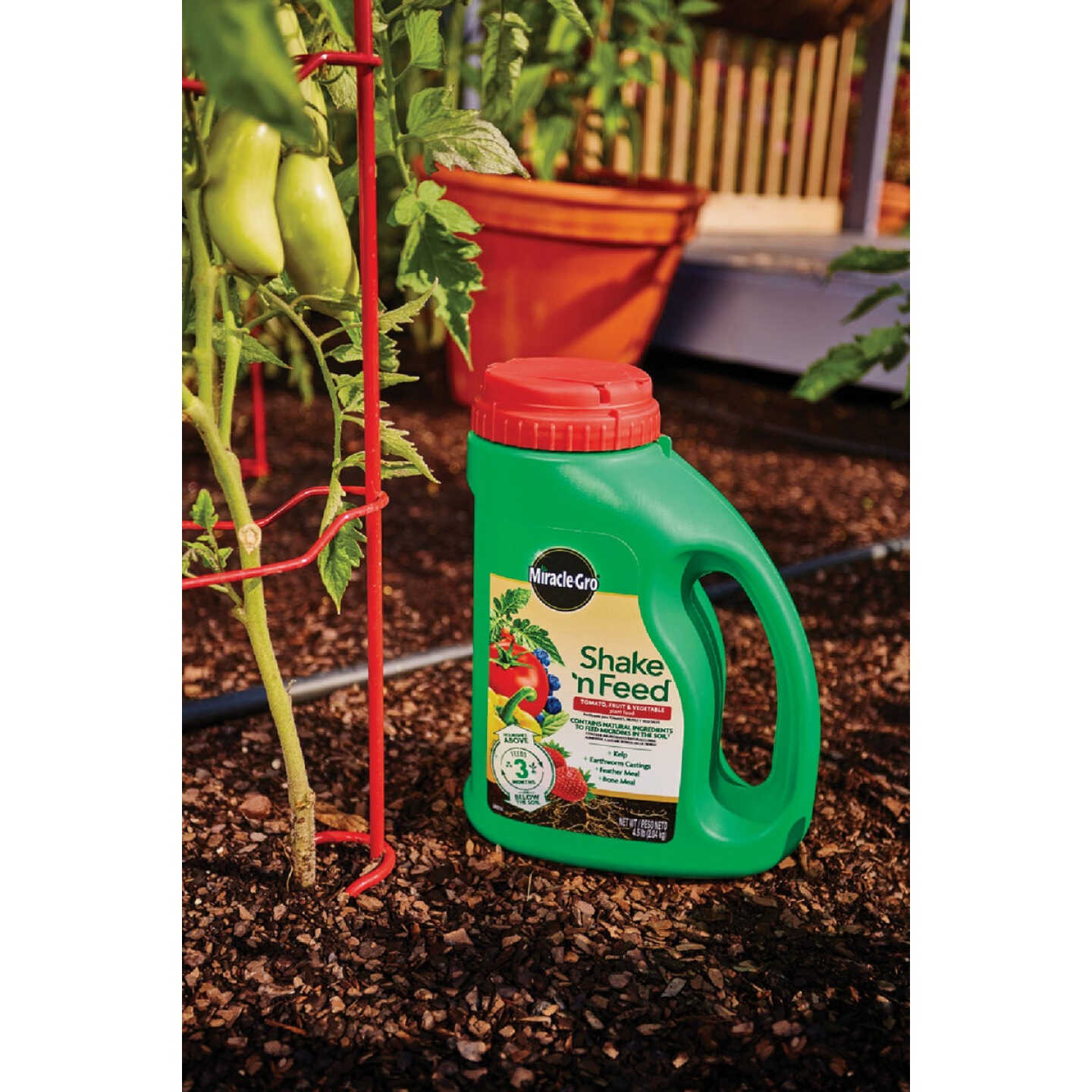 Miracle-Gro Shake 'n Feed 4.5 Lb. Tomato, Fruit & Vegetable Plant Food Image 4