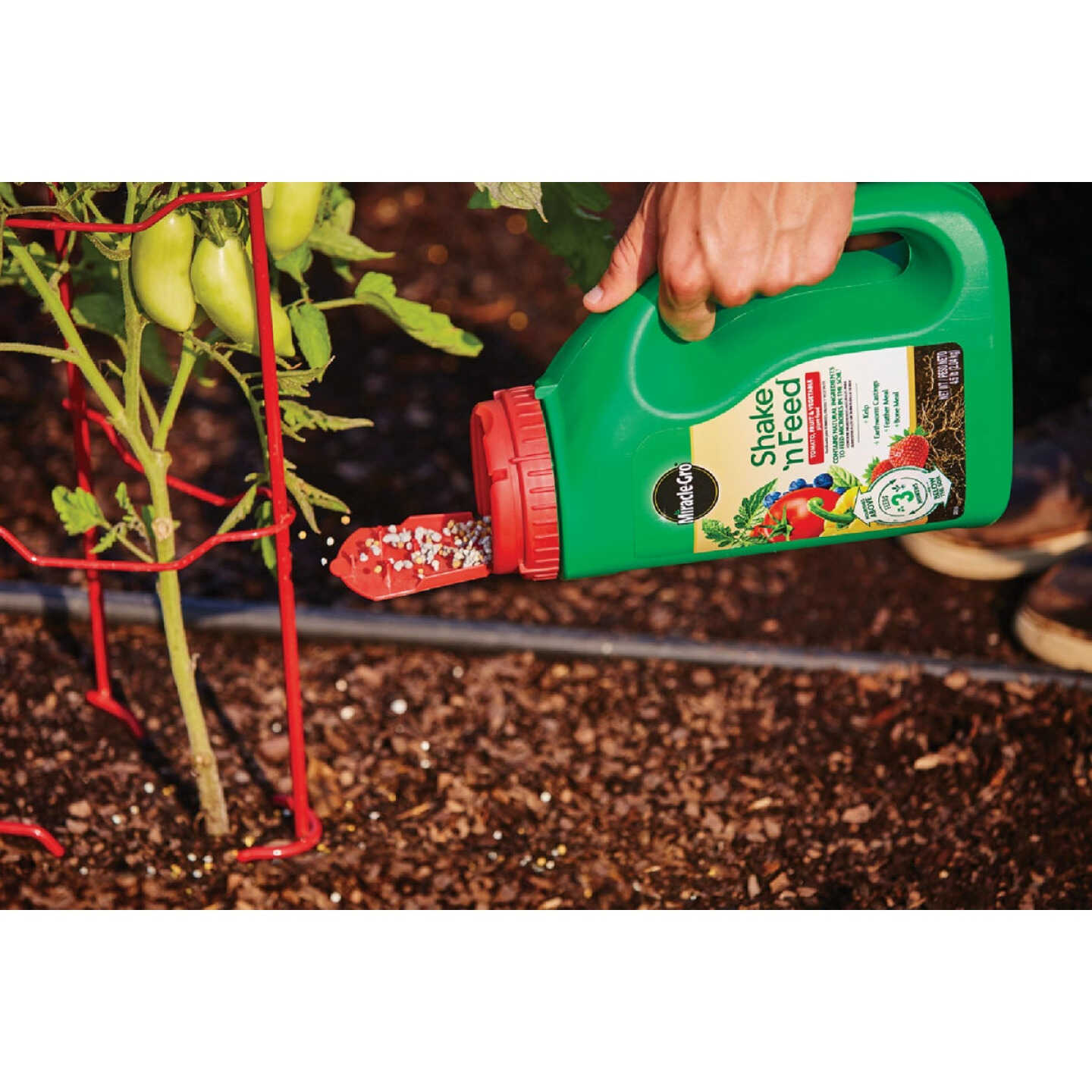 Miracle-Gro Shake 'n Feed 4.5 Lb. Tomato, Fruit & Vegetable Plant Food Image 5