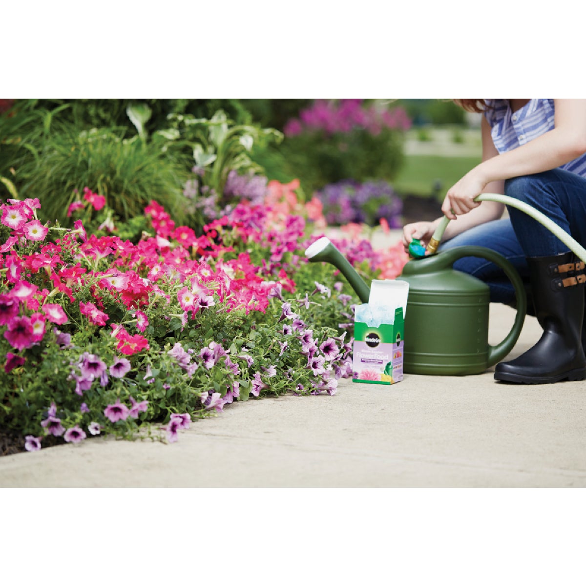 Miracle-Gro Bloom Booster 4 Lb. Water Soluble Flower Food Image 2