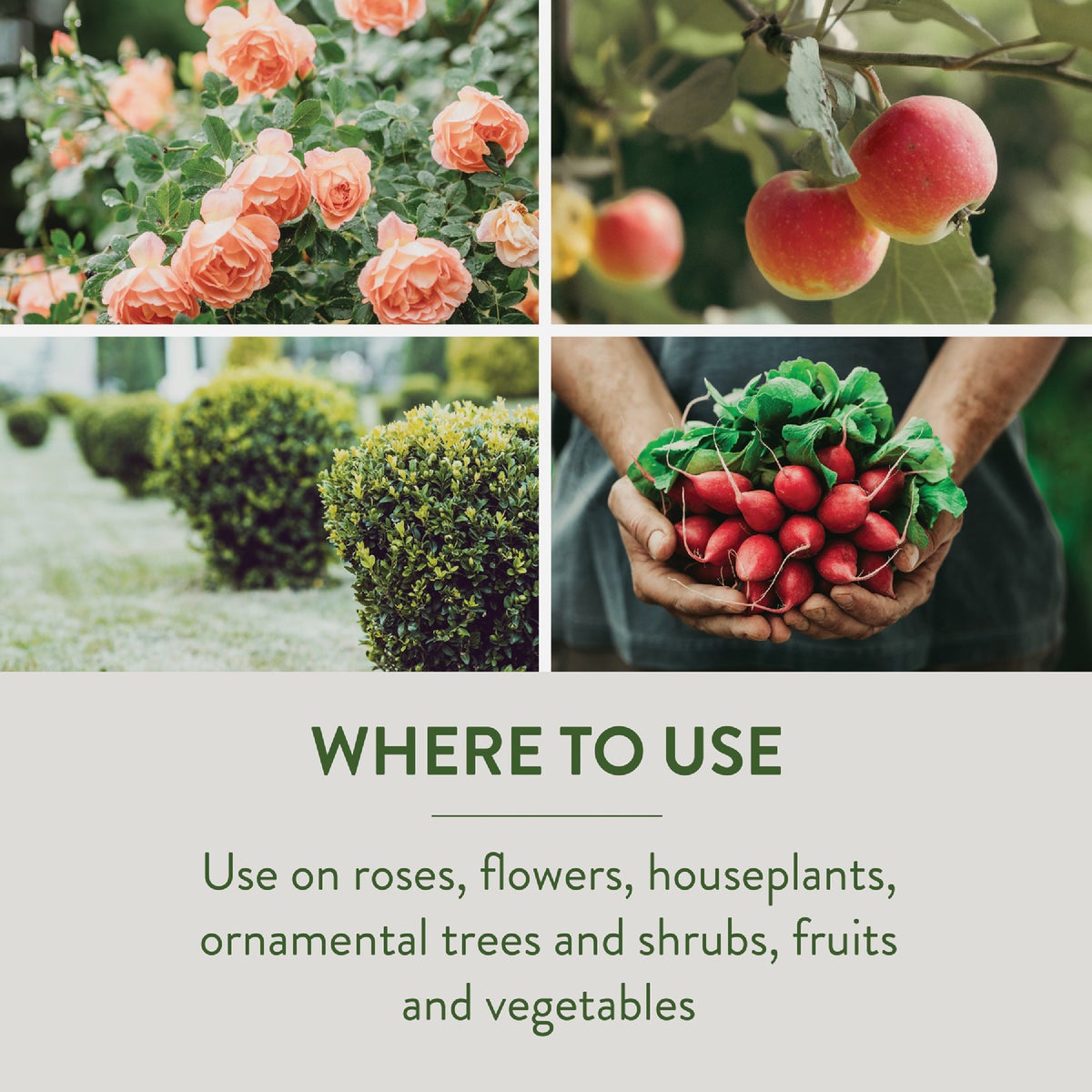 Garden Safe Fungicide 3 28 Oz. Ready To Spray Hose End Fungicide Image 3