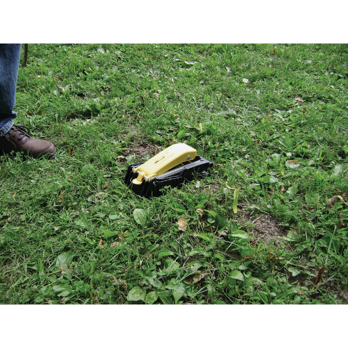 TOMCAT Protect Your Lawn Spring-Loaded Mole Trap Image 4