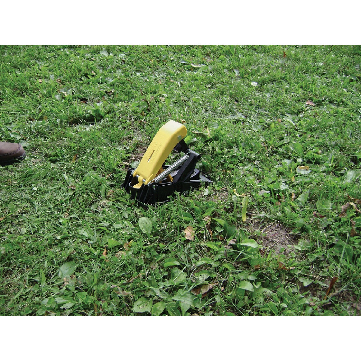 TOMCAT Protect Your Lawn Spring-Loaded Mole Trap Image 5