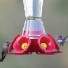 Perky-Pet 16 Oz. Favored Pinch-Waist Glass Hummingbird Feeder Image 3