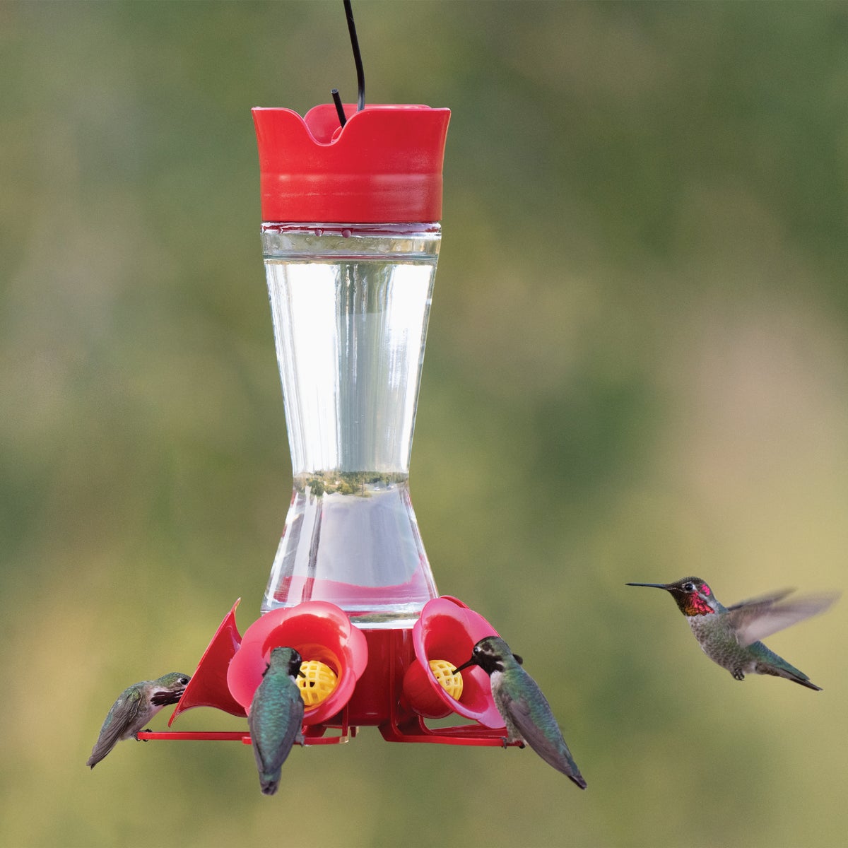 Perky-Pet 16 Oz. Favored Pinch-Waist Glass Hummingbird Feeder Image 5