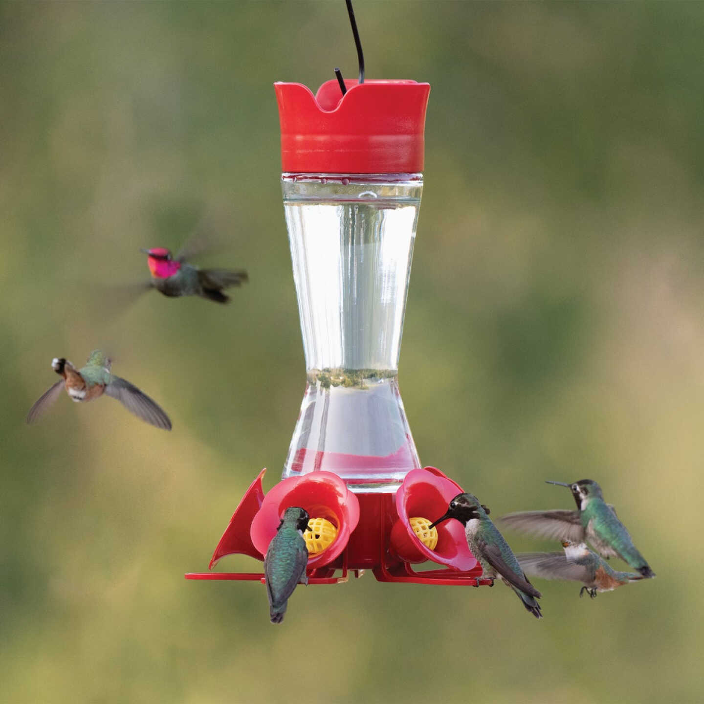 Perky-Pet 16 Oz. Favored Pinch-Waist Glass Hummingbird Feeder Image 2