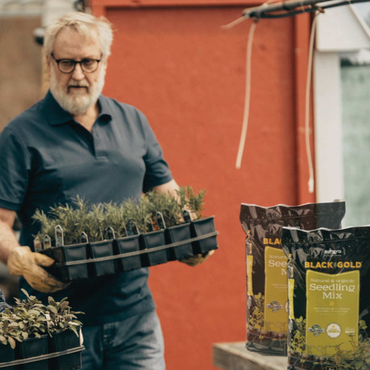 Black Gold 16 Qt. 8-1/3 Lb. All Purpose Container Potting Seed Starting Mix Image 3