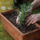 Black Gold 16 Qt. 8-1/3 Lb. All Purpose Container Potting Seed Starting Mix Image 2